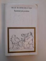 Samtal p&aring; jorden : essayer och tankeflygningar