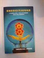 Energitjuvar : i familjen, i relationen och p&aring; jobbet