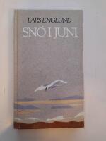 Sn&ouml; i juni