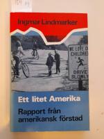 Ett litet Amerika. Rapport fr&aring;n amerikansk f&ouml;rstad.