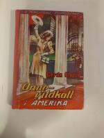 Anne - vildkatt i Amerika