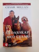 Ledarskap med Cesar