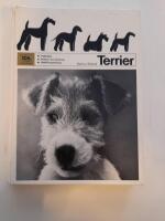 Terrier