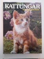 Kattungar, det b&auml;sta som finns
