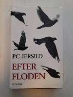 Efter floden : roman