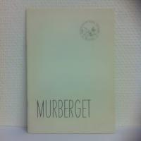 Kulturhistoriska Museet Murberget Friluftsmuseets byggnader En kort v&auml;gledning