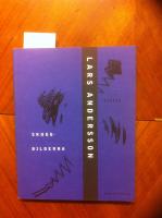 Skuggbilderna : ess&auml;er