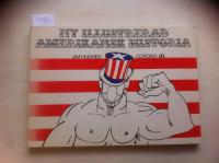 Ny illustrerad amerikansk historia