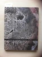 Ingens land : om Nils Gunnar Zanders konst