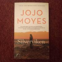 Silverviken