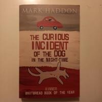 The Curious Incident of the Dog In the Night-time