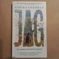 Jag - En roman om Karin Larsson