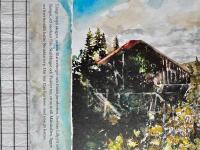 Elsa i Skr&auml;ddartorp och hennes 28 katter