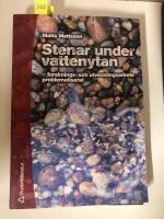 Stenar under vattenytan : forsknings- och utvecklingsarbete problematiserat