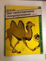 Den vackra kamelens morgonpromenad
