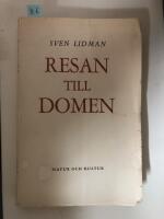 Resan till Domen 