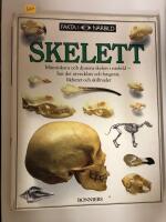 Skelett : [m&auml;nniskans och djurens skelett i n&auml;rbild, hur det utvecklats och fungerar, likheter och skillnader]