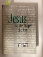 Jesus in the Gospel of John