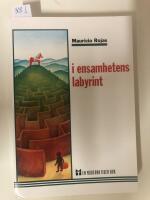 I ensamhetens labyrint - invandring och svensk identitet