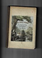 De unga Boerne-En tropikm&aring;lning fr&aring;n Syd-Afrika