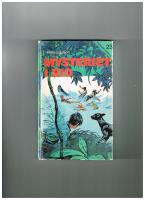 Mysteriet i Rio