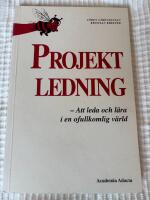Projektledning  &ndash; Att leda och l&auml;ra i en ofullkomlig v&auml;rld
