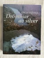 Dr&ouml;mmar Av Silver &ndash; Silververket i Kvikkjokk 1660-1702, fritt efter verkligheten