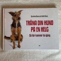 Tr&auml;na Din Hund P&aring; En Helg