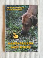 Kantarells&ouml;k Med Hund