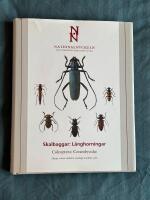 Skalbaggar : L&aring;nghorningar. Coleoptera : Cerambycidae