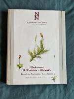 Bladmossor : Sk&ouml;ldmossor - Bl&aring;mossor. Bryophyta : Buxbaumia - Leucobryum