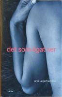 Det som &ouml;gat ser