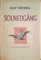 Solnedg&aring;ng
