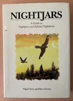 Nightjars - a guide to nightjars and related nightbirds