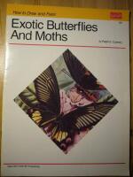 HOW TO DRAW AND PAINT EXOTIC BUTTERFLIES AND MOTHS / Rita och m&aring;la exotiska fj&auml;rilar/