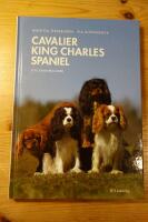 Cavalier king charles spaniel