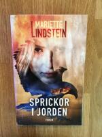 Sprickor i jorden