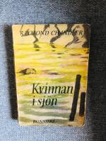 Kvinnan i sj&ouml;n