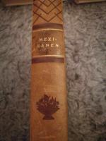 Mexikanen
