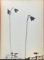 Padjalanta och andra lappl&auml;ndska &ouml;demarker