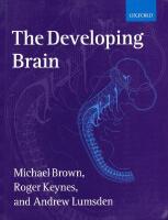 The Developing Brain