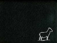 F&aelig;r&oslash;skitser