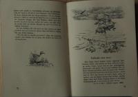 Fr&aring;n gotl&auml;ndska marker