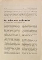 Att tr&auml;na med vallhunden