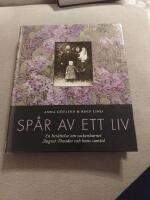Sp&aring;r av ett liv : en ber&auml;ttelse om sockenbarnet August Theodor och hans samtid