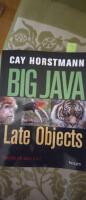Big Java Late Objects
