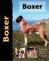 Boxer 