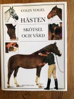 H&auml;sten - Sk&ouml;tsel och v&aring;rd