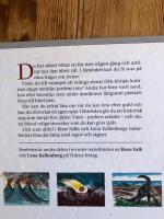 Stenboken : bland granit, granat och bergatroll