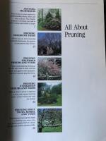All about Pruning
